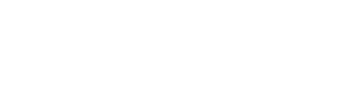 Sturdy and Sustainable Company (SS Company)